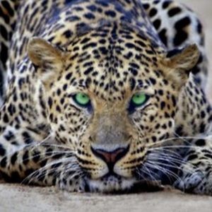 Meet your Posher, Kaitlyn